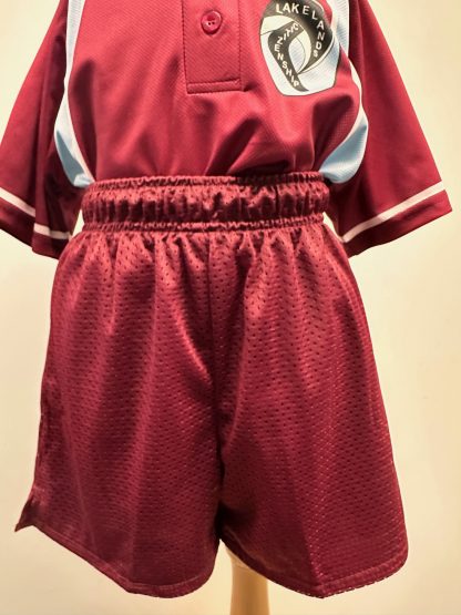Lakelands PS Mesh Sport Shorts - Image 2